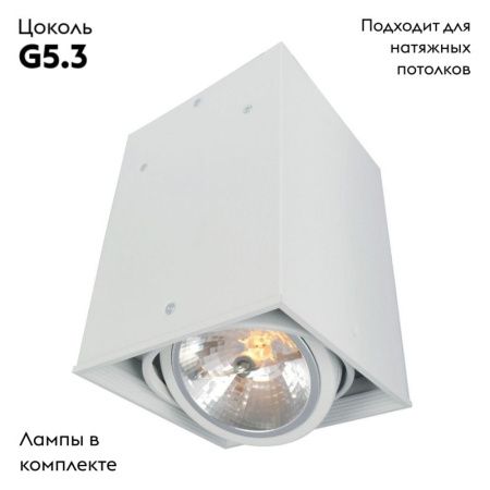 Светильник накладной Arte Lamp Cardani (Цардани) A5936PL-1WH
