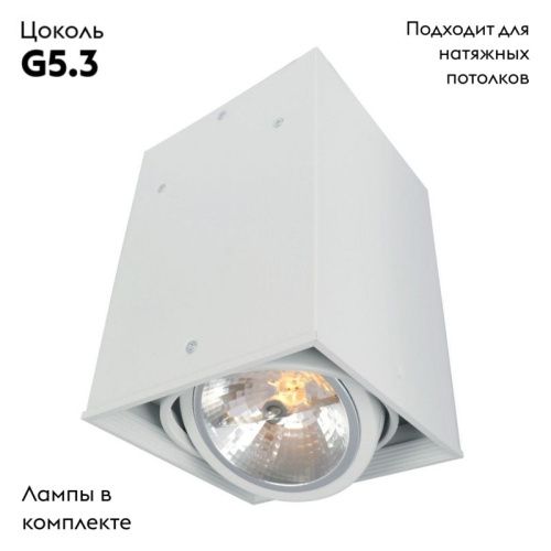Светильник накладной Arte Lamp Cardani (Цардани) A5936PL-1WH - фото 2