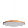 Светильник подвесной Loft It Plato 10119 Orange