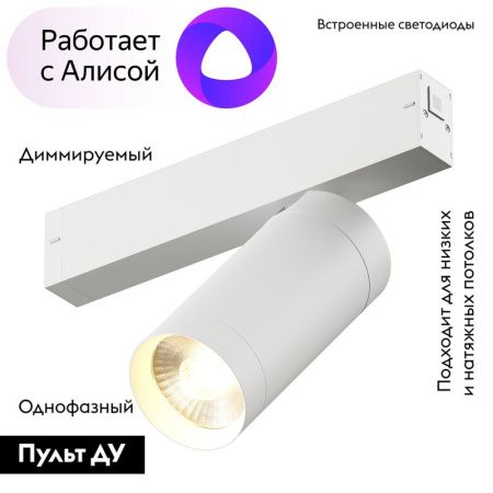 Трековый светильник Denkirs Smart Spot (Смарт Спот) DK8020-WH