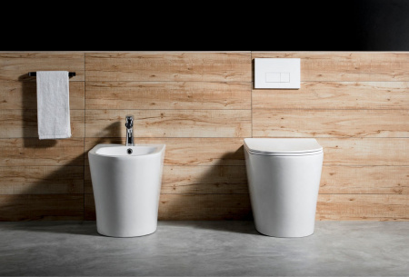 Унитаз приставной Aquatek ВЕГА AQ1906-00 белый с сиденьем микролифт безободковый смыв торнадо