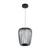 Светильник подвесной Arte Lamp Flare (Фларе) A3528SP-12BK