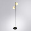Торшер Arte Lamp Alcor (Алцор) A2224PN-2BK