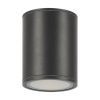Уличный потолочный светодиодный светильник Maytoni Outdoor Bar O306CL-L12GF