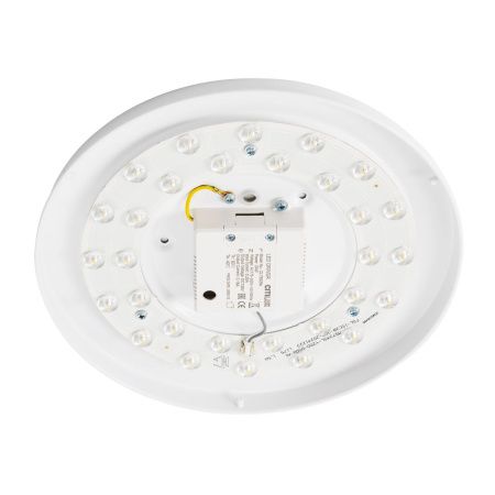 Светильник потолочный музыкальный Citilux Bart (Барт) CL755291
