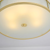 Светильник потолочный ImperiumLoft Venus (Венус) 204444-26