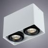 Светильник потолочный Arte Lamp Pictor (Пицтор) A5655PL-2WH