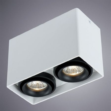 Светильник потолочный Arte Lamp Pictor (Пицтор) A5655PL-2WH