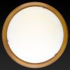 Светильник накладной Toplight Ginger (Гингер) TL9620Y-00OA