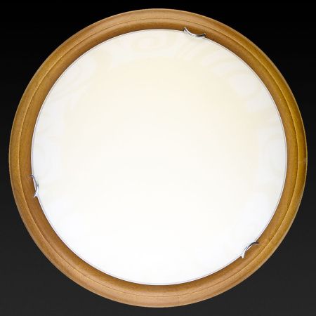 Светильник накладной Toplight Ginger (Гингер) TL9620Y-00OA