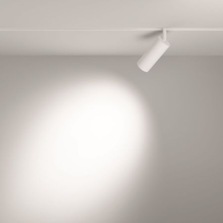 Трековый светодиодный светильник Maytoni Technical Focus LED TR032-4-12W3K-S-DS-W
