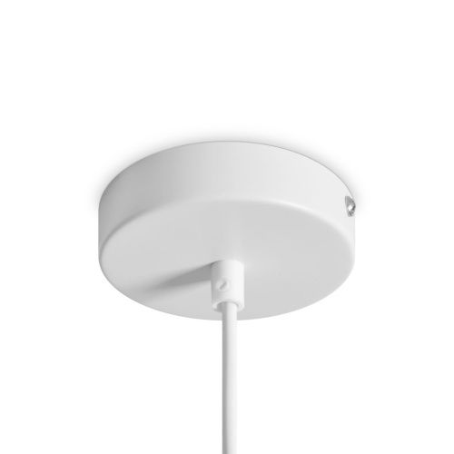 Светильник подвесной Freya Shapes Modern FR5530PL-L10W - фото 5