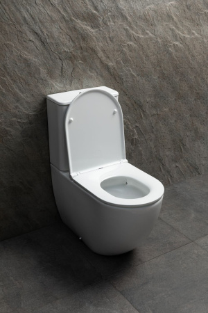 Чаша унитаза подвесная Allen Brau Priority Tornado 4.31006.20 цвет белый без сиденья безободковая душевой смыв