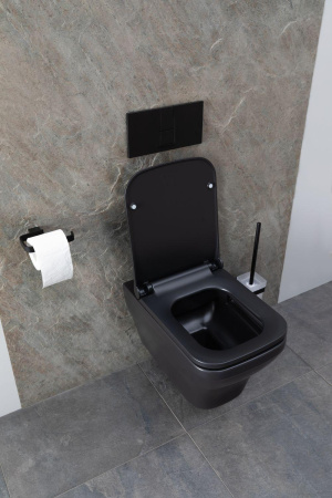 Чаша унитаза подвесная Allen Brau Infinity 4.21011.31 цвет черный матовый без сиденья безободковая каскадный смыв