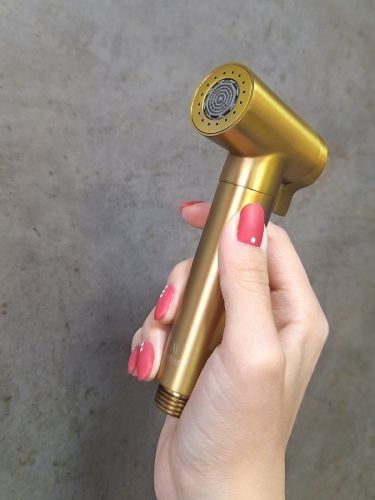 Лейка для гигиенического душа AltroBagno Modern AltroBagnoModern060206BG круглая - фото 5