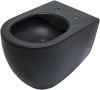 Чаша унитаза подвесная Allen Brau Reality 4.32006.31 цвет черный без сиденья безободковая каскадный смыв