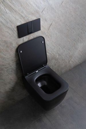 Чаша унитаза подвесная Allen Brau Liberty 4.33007.31 цвет черный без сиденья безободковая каскадный смыв