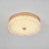 Светильник потолочный LED4U L1116-300 GD