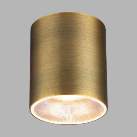 Светильник потолочный Odeon Light Brim (Брим) 7137/12CL