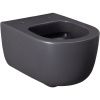 Чаша унитаза подвесная Allen Brau Priority 4.31002.AN цвет черный без сиденья безободковая каскадный смыв