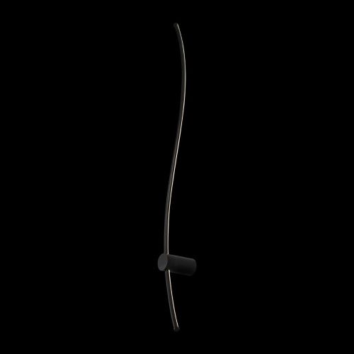 Светильник настенный Loft It Rays 10154 BK - фото 4