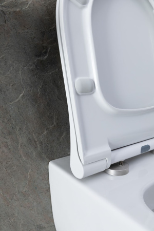 Чаша унитаза подвесная Allen Brau Priority 4.31001.20 цвет белый без сиденья безободковая каскадный смыв