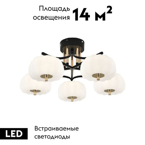 Люстра потолочная Escada Halma (Халма) 10301/5LED - фото 2