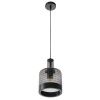 Светильник подвесной Myfar Edwin (Едвин) MR2474-1P