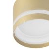 Светильник накладной Citilux Hardy (Харды) CL002C12