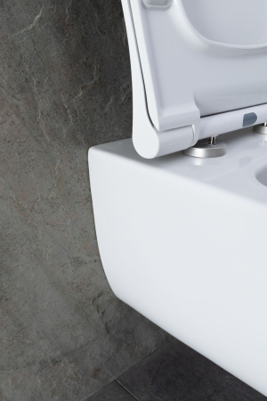 Чаша унитаза подвесная Allen Brau Priority 4.31001.20 цвет белый без сиденья безободковая каскадный смыв