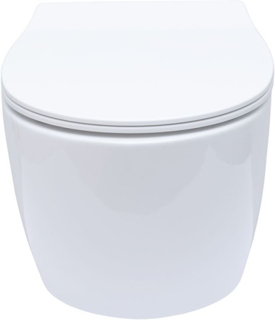 Чаша унитаза подвесная Allen Brau Fantasy 4.11HC1.20 цвет белый без сиденья безободковая каскадный смыв