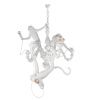 Светильник подвесной Loft It Monkey 10314 White