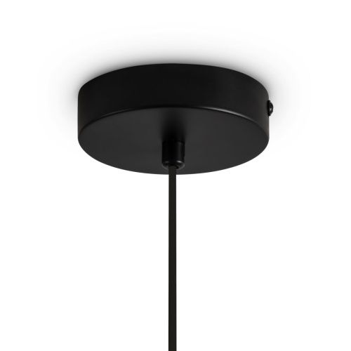 Светильник подвесной Freya Irisa Modern FR5593PL-01B1 - фото 5