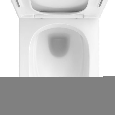 Унитаз подвесной Wellsee Pure BY Wellsee 182602001 белый с сиденьем микролифт безободковый каскадный смыв