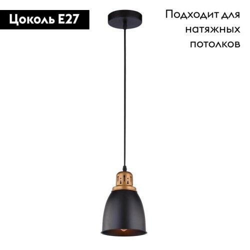 Светильник подвесной Arte Lamp Eurica (Еурица) A4248SP-1BK - фото 2