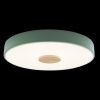 Светильник потолочный Loft It Axel 10003/24 Green