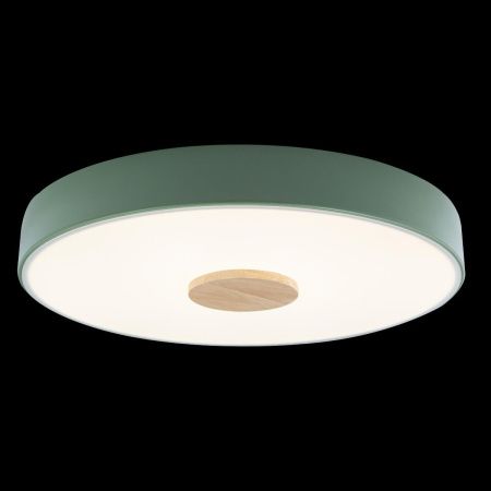 Светильник потолочный Loft It Axel 10003/24 Green