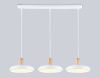Светильник подвесной Ambrella Light LineTech (ЛинеТецх) FL4840