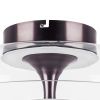 Светильник потолочный Lightstar Celesta (Целеста) 809200