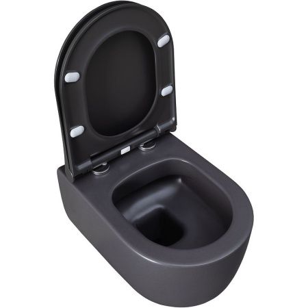 Чаша унитаза подвесная Allen Brau Priority 4.31002.AN цвет черный без сиденья безободковая каскадный смыв