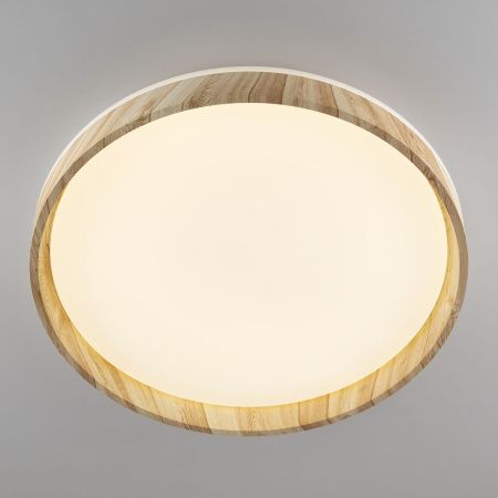 Светильник потолочный музыкальный Citilux Enzo (Ензо) CL753452G