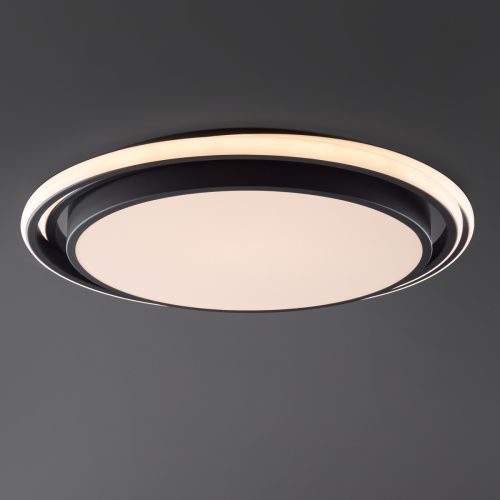 Светильник потолочный Freya Lisoa FR10031CL-L98B - фото 3