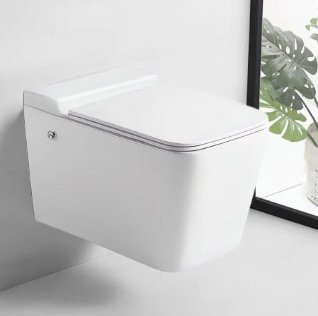 Унитаз подвесной Cerutti SPA CT10191 белый с сиденьем микролифт безободковый импульсный смыв