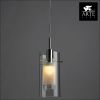 Светильник подвесной Arte Lamp Idea (Идеа) A2300SP-1CC
