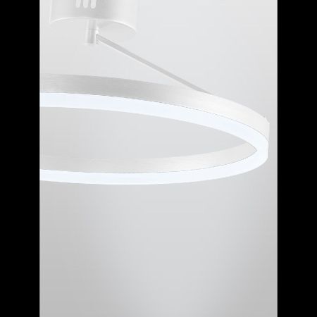 Люстра потолочная Natali Kovaltseva Finam (Финам) LED LAMPS 81121/1C