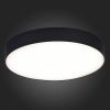 Светильник потолочный ST Luce ST606 ST606.442.48