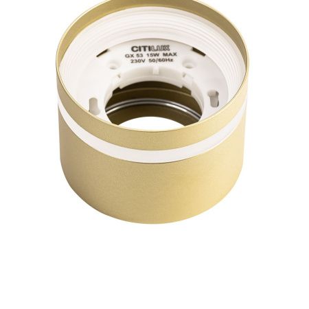 Светильник накладной Citilux Hardy (Харды) CL002C12