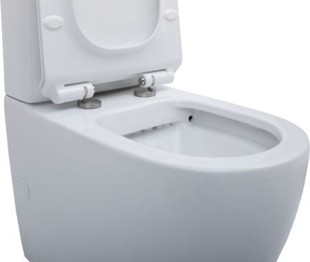 Чаша унитаза напольная Aquanet Cetus CETUS-C1 цвет белый без бачка с сиденьем микролифт безободковая каскадный смыв