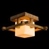 Светильник накладной Arte Lamp WOODS (ВООДС) A8252PL-1BR