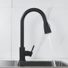 Смеситель для кухни Raffine F213H на мойку черный